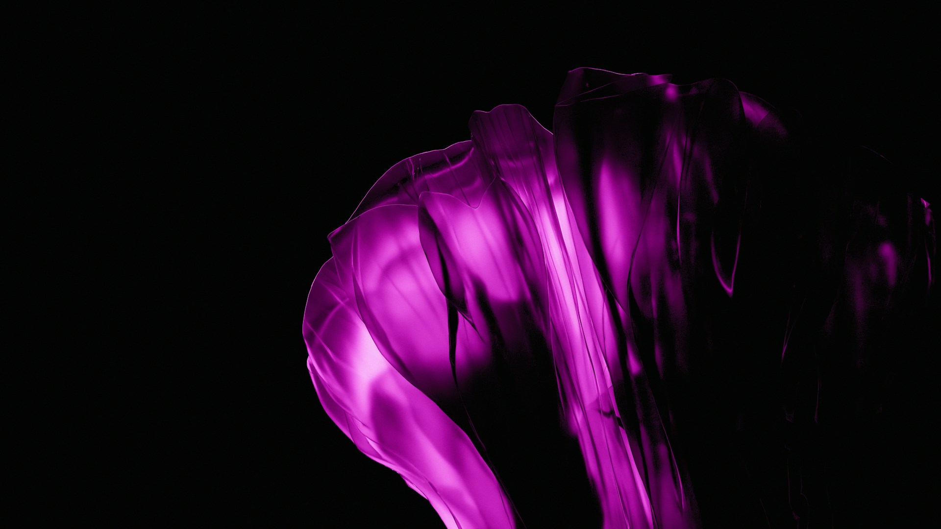 Indulge in the Essence of Luxury