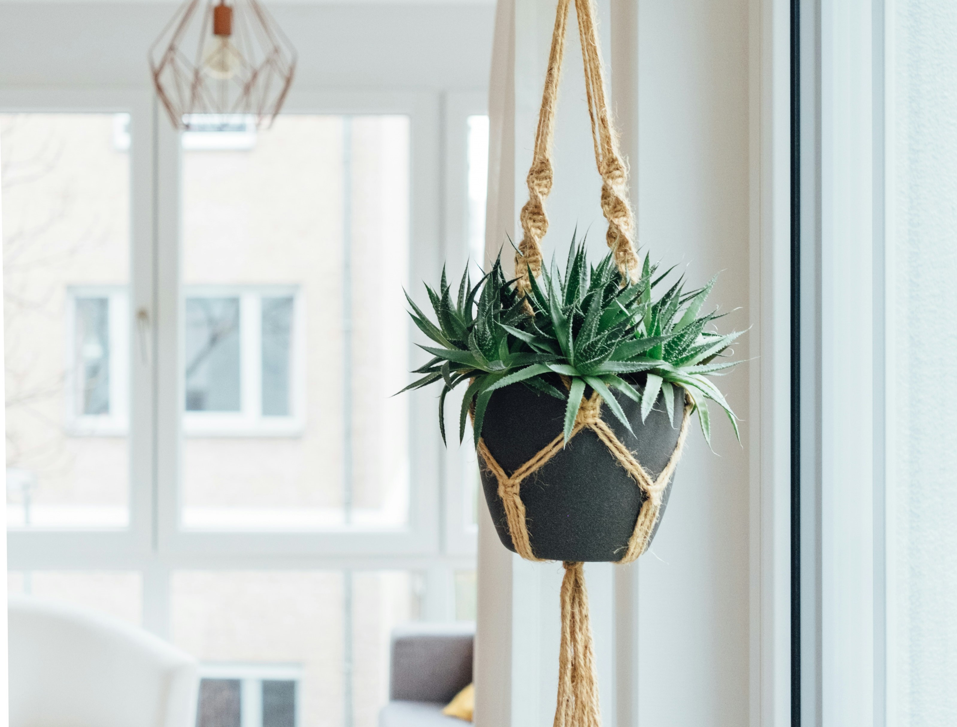 DASH HOMES STYLE & INTERIORS