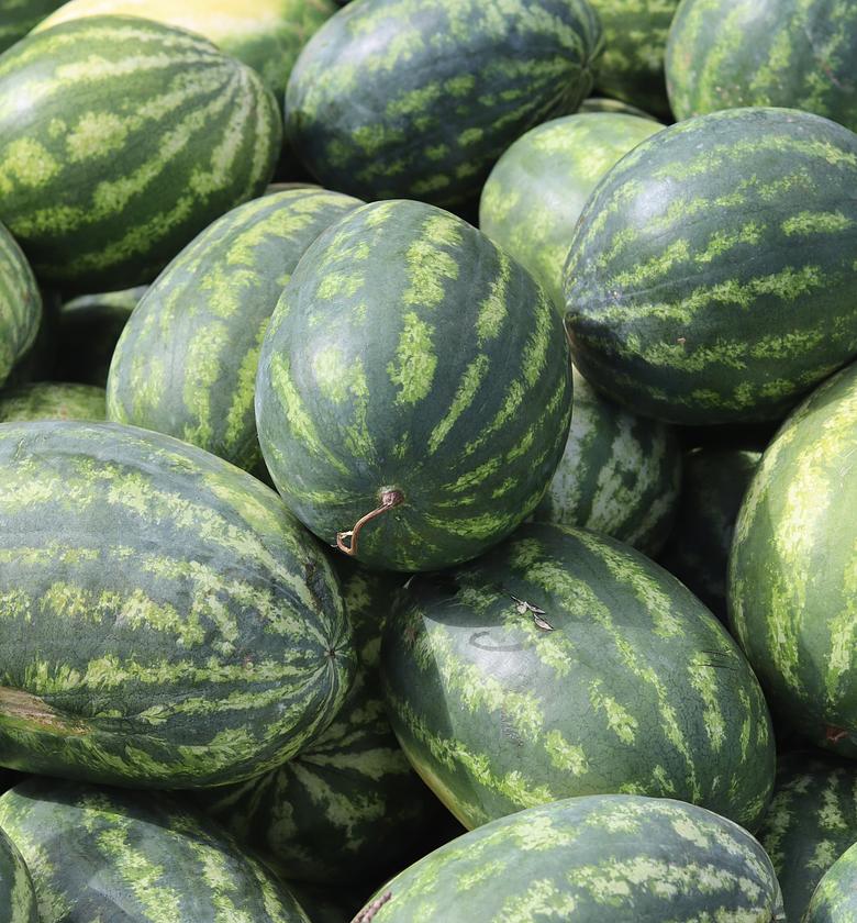 Watermelon Big  image