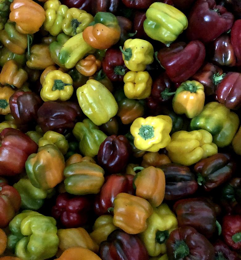 Red & Yellow Capsicum -Per Kilogram  image