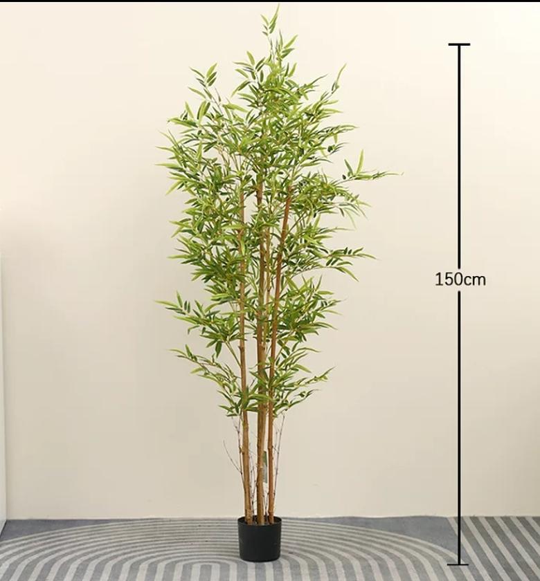 5ft High Quality bamboo plant image
