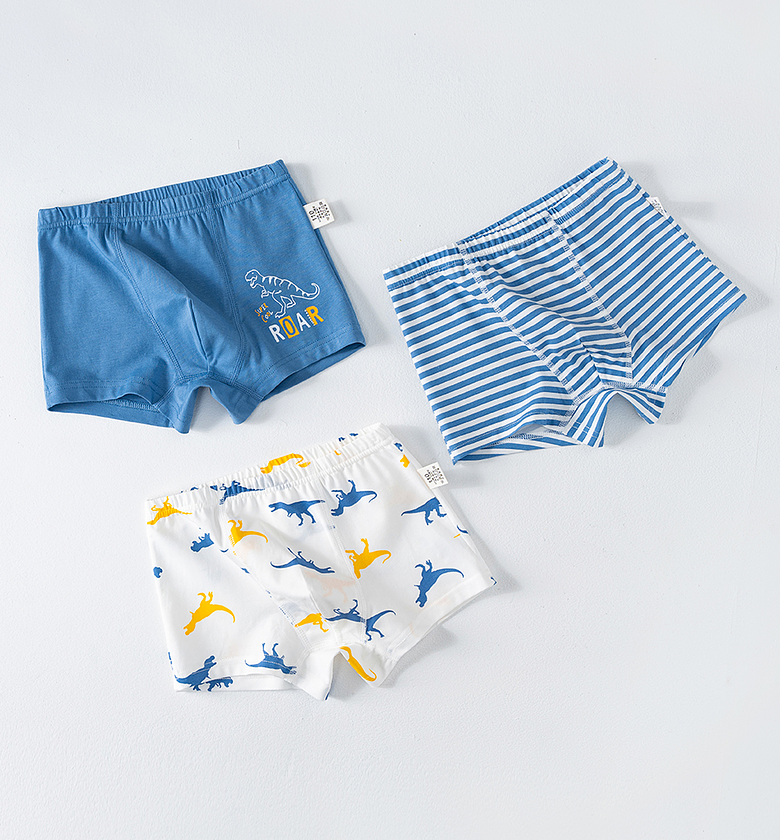 Blue Dinosaur Boxer Set image