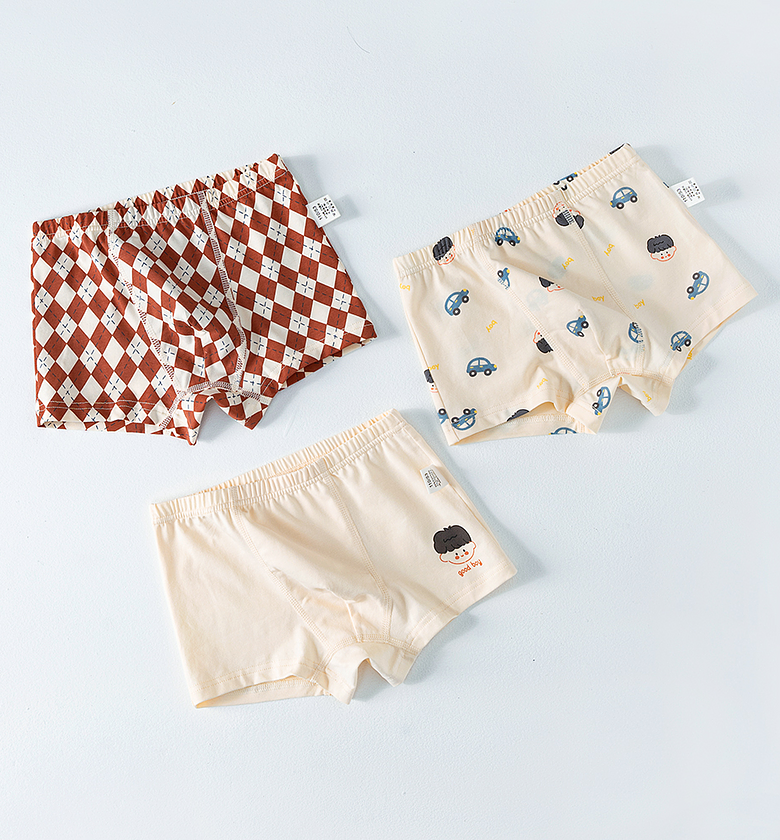 Little Car Boxers image