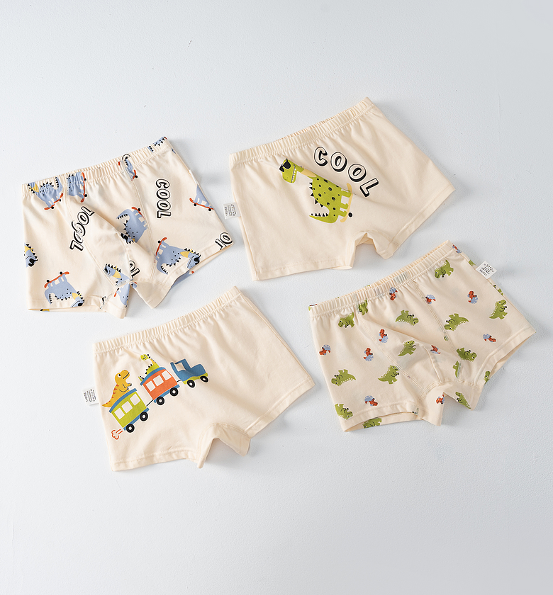 Cool Dino Boxer Set image