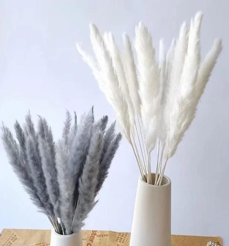 *15pc Natural Dried Flowers Pampas grass image