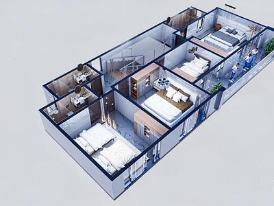 project gallery image