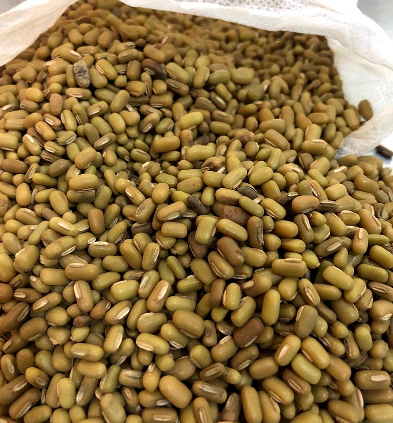 Western -A kilogram image