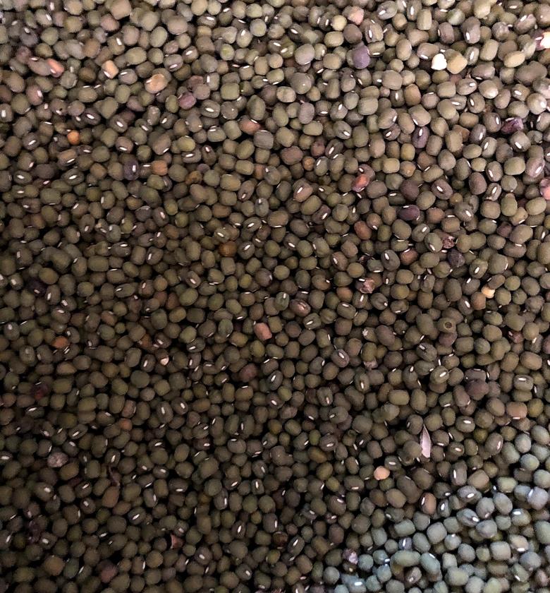 Ndengu/Green grams(Makueni)-A kilogram image