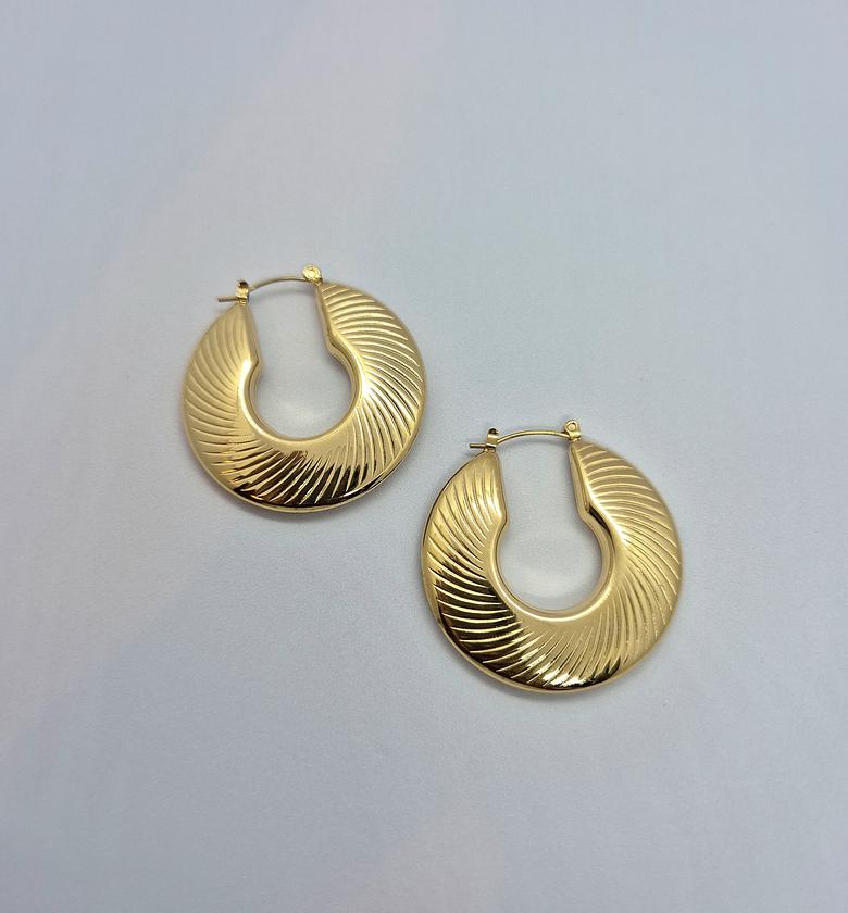 Swirl Earrings image