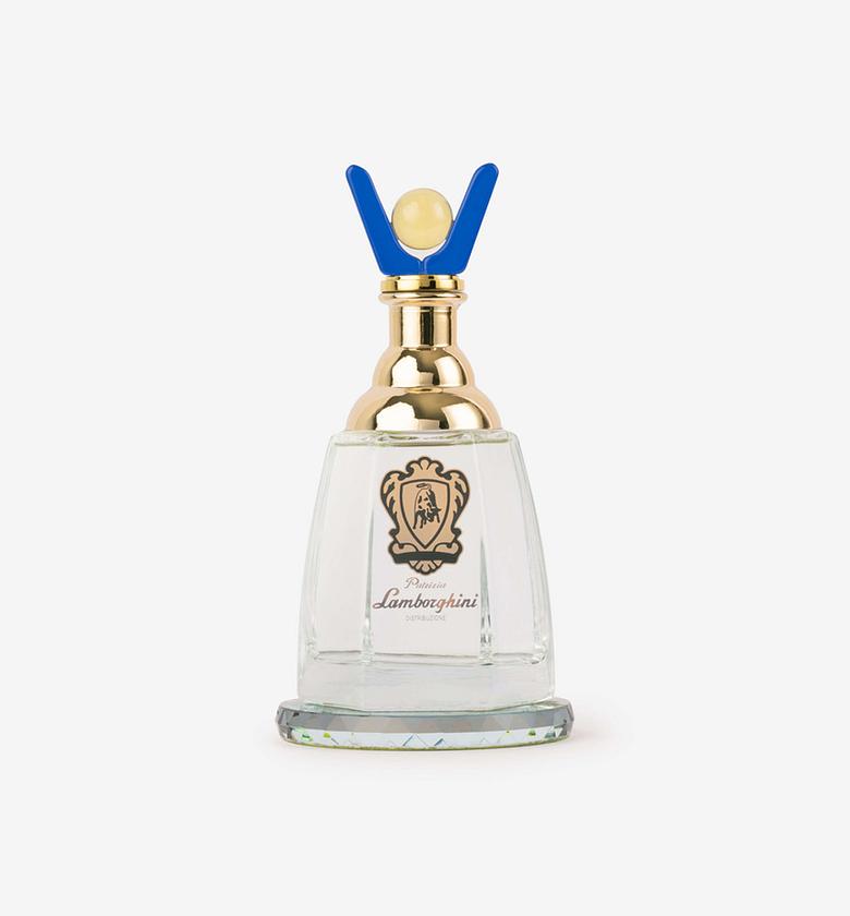 Tequilla silver lamborghini image