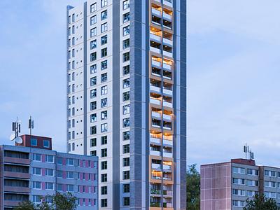 project gallery image