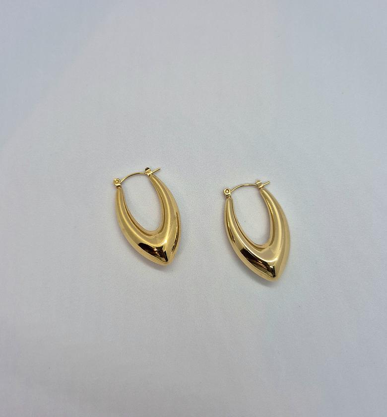 Tao Earrings  image