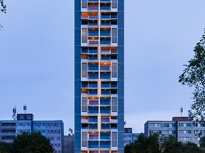 project gallery image