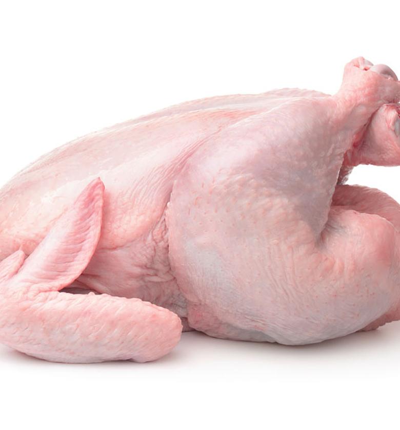 Full Chicken Broiler image
