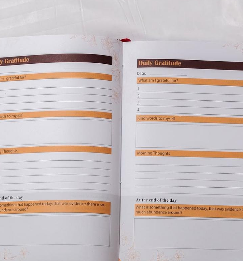 Gratitude Journal + Diamond Pen Set image