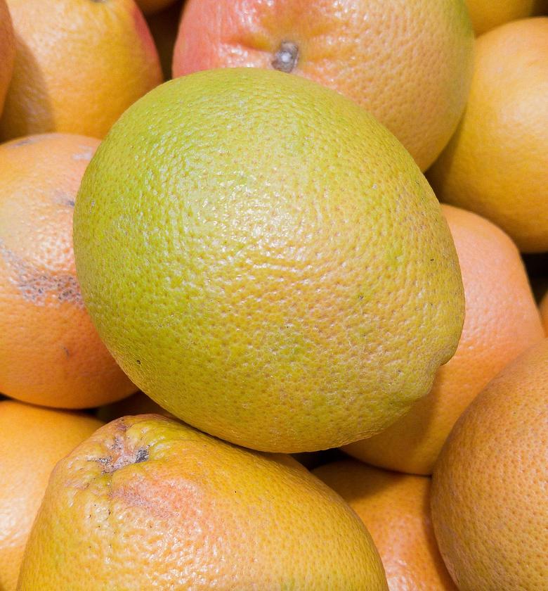 Grape Fruit -Per Piece  image