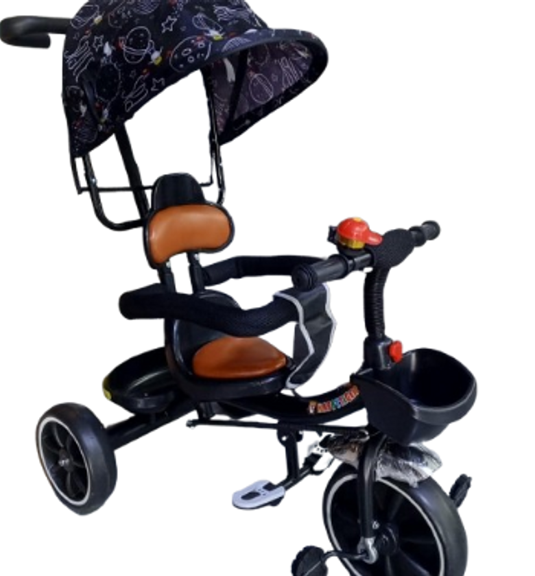 Children's Tricycle with Canopy and Push Handle For Age Between  18 months to 5 years image