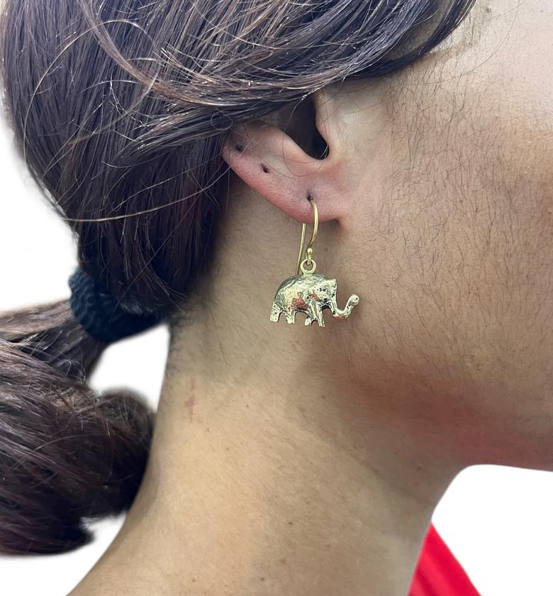 Shani Brass Earrings  image