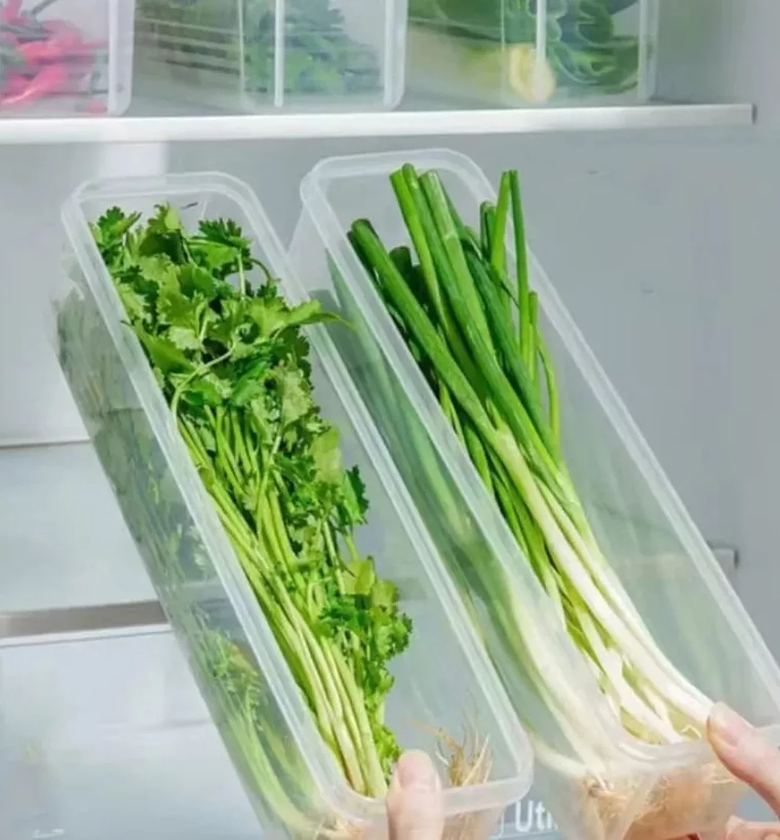 Airtight Modular Refrigerator Fresh Keeper Box image