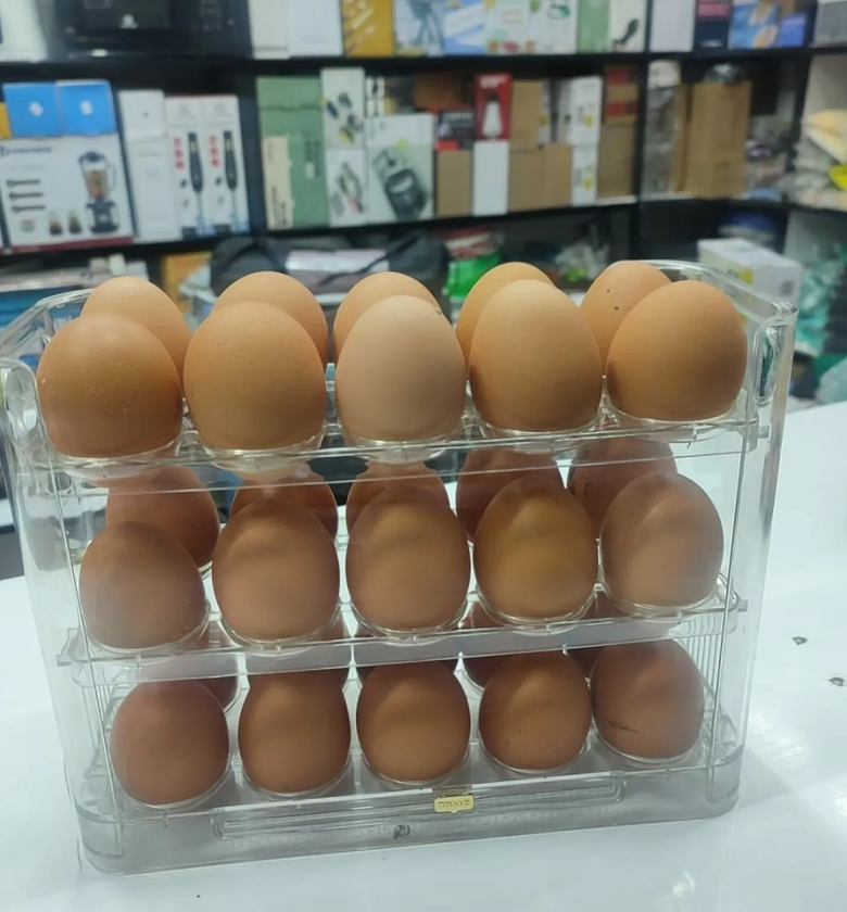 Autoflip Large Capacity 30-Egg Refrigerator Door Storage Rack image