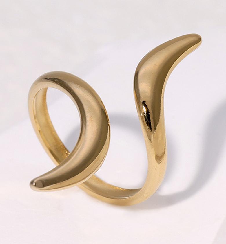 The Fluid Spiral Ring image