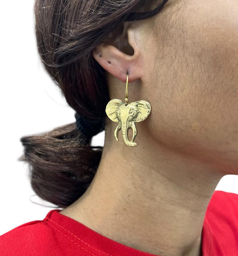 Katlego  Brass Earrings image