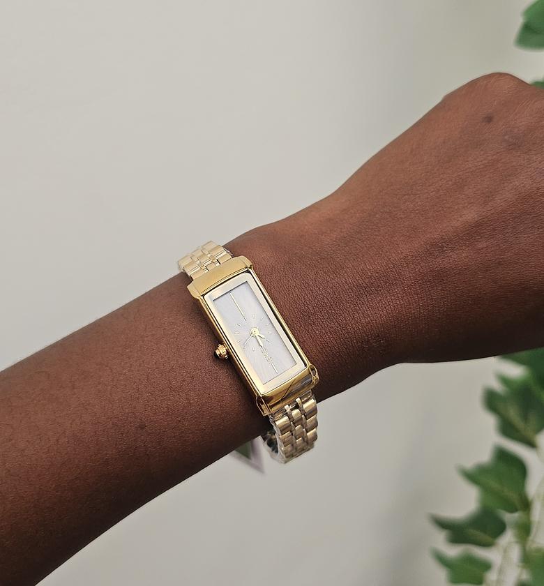 Classic ieke watch  image