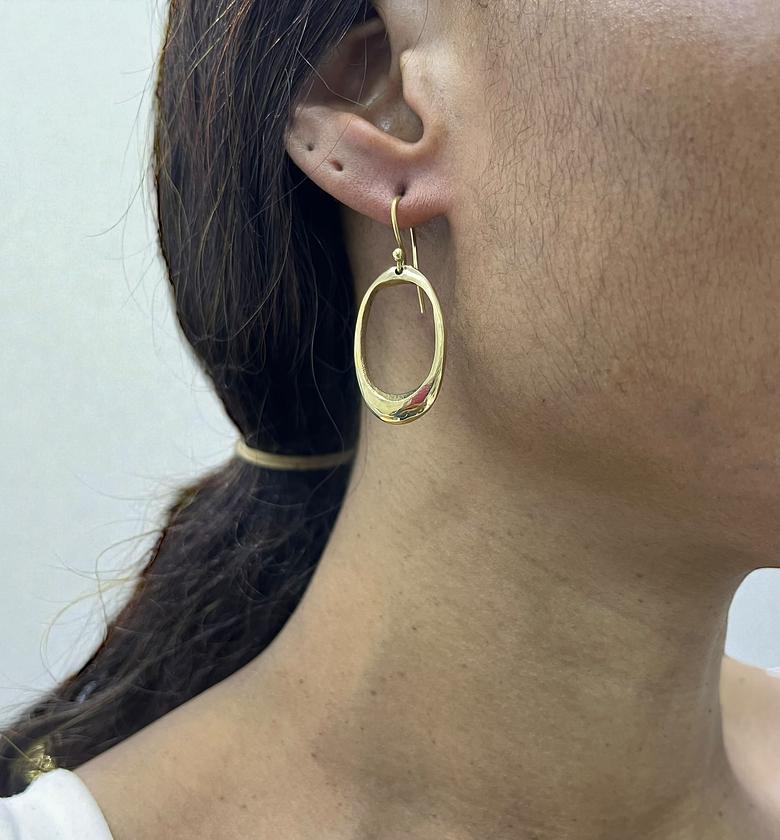 Oval Drop Brass Earrings image