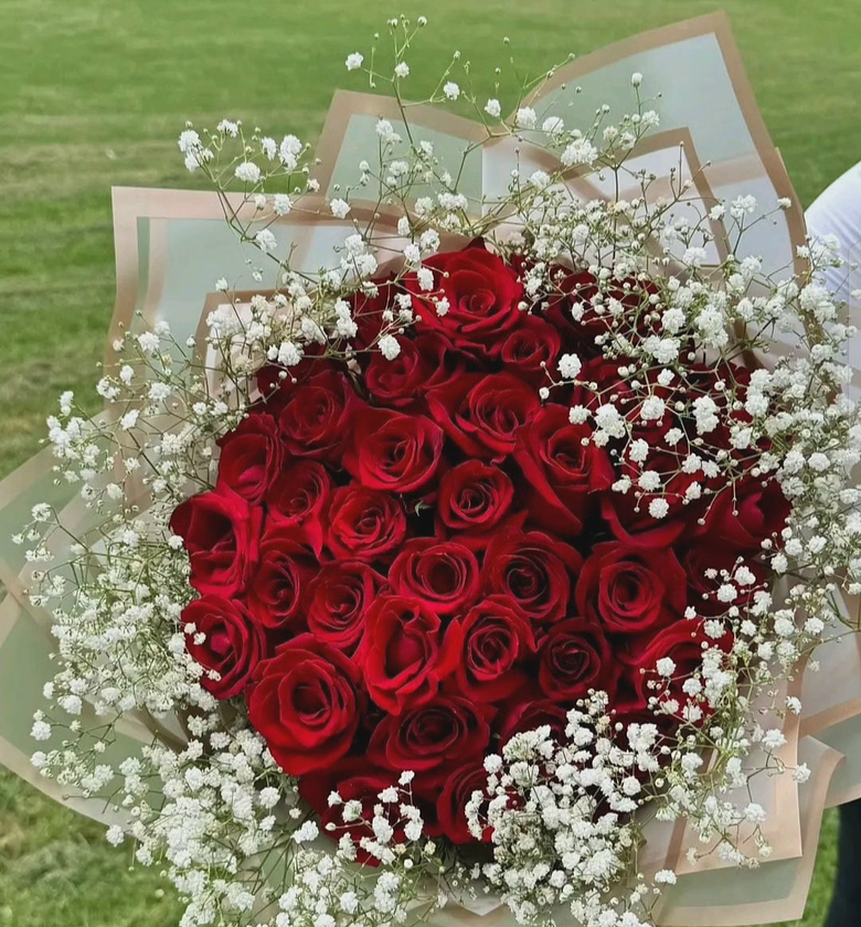 Premium Red Roses image