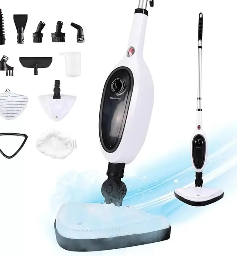 Multifunction Steam Cleaner image