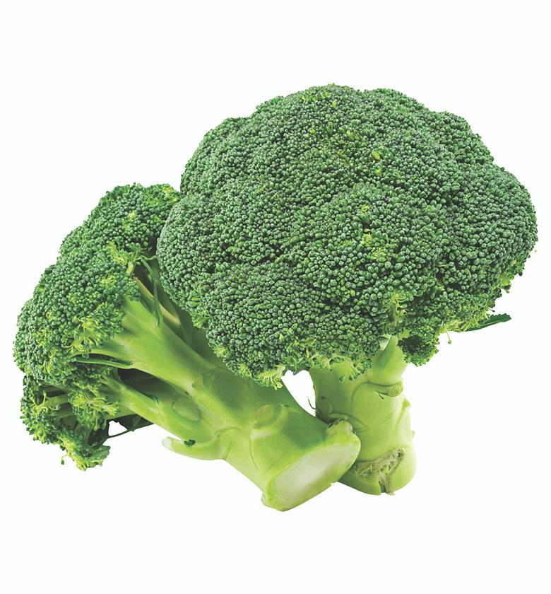 Brocolli-per Kilogram  image
