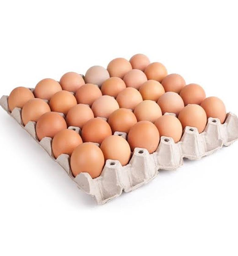 Eggs-Layers a tray  image