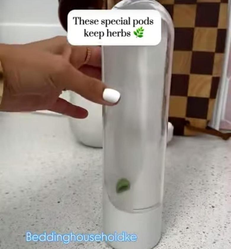 Herbs saver,keeps your herbs fresh for long. image