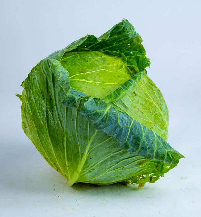 Fresh Green Cabbage – Whole Piece image