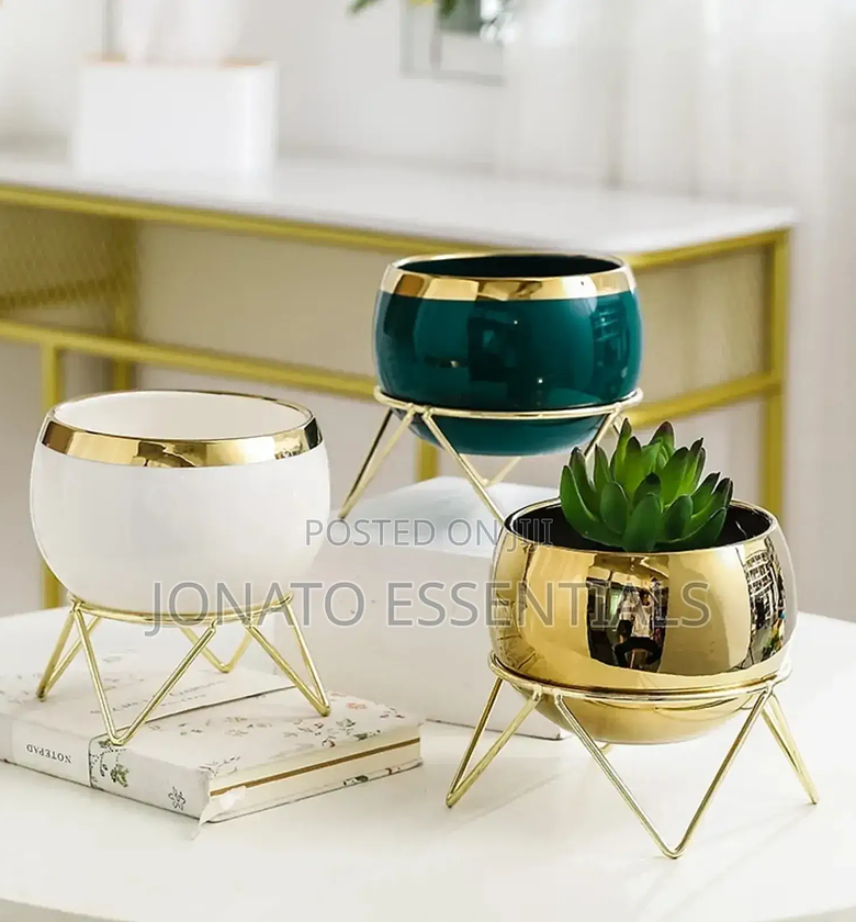 Nordic Succulent Plant Flower Pot No Flowers image