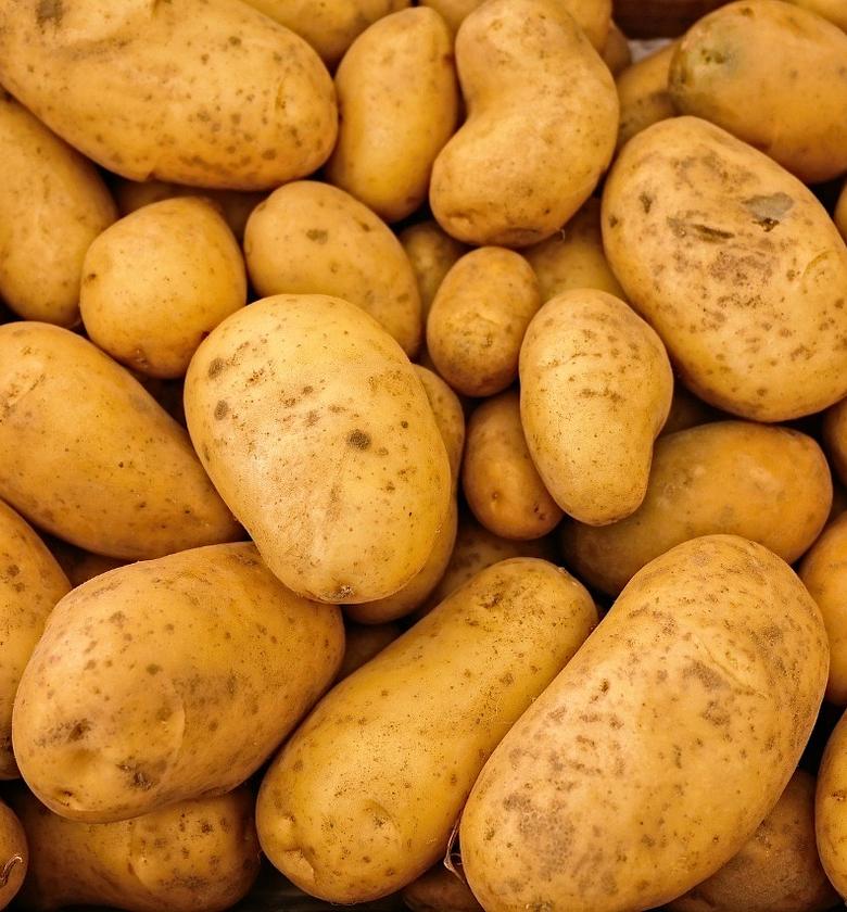 Potatoes-Per Kilogram  image