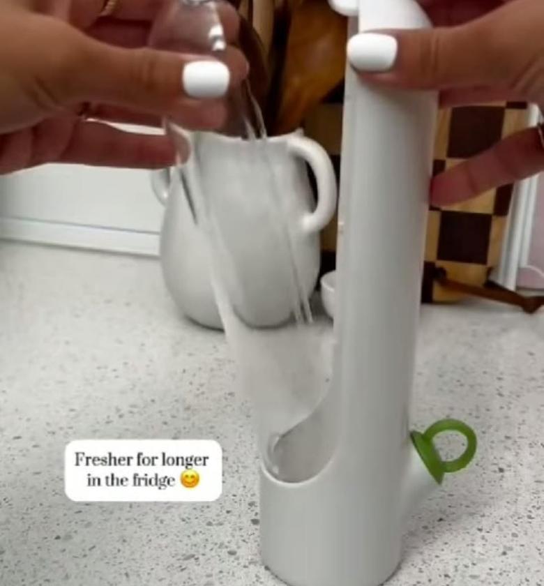 Fresh herbs fridge storage container image