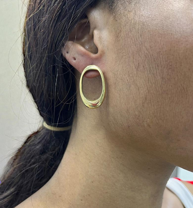 Lake Brass Earrings image