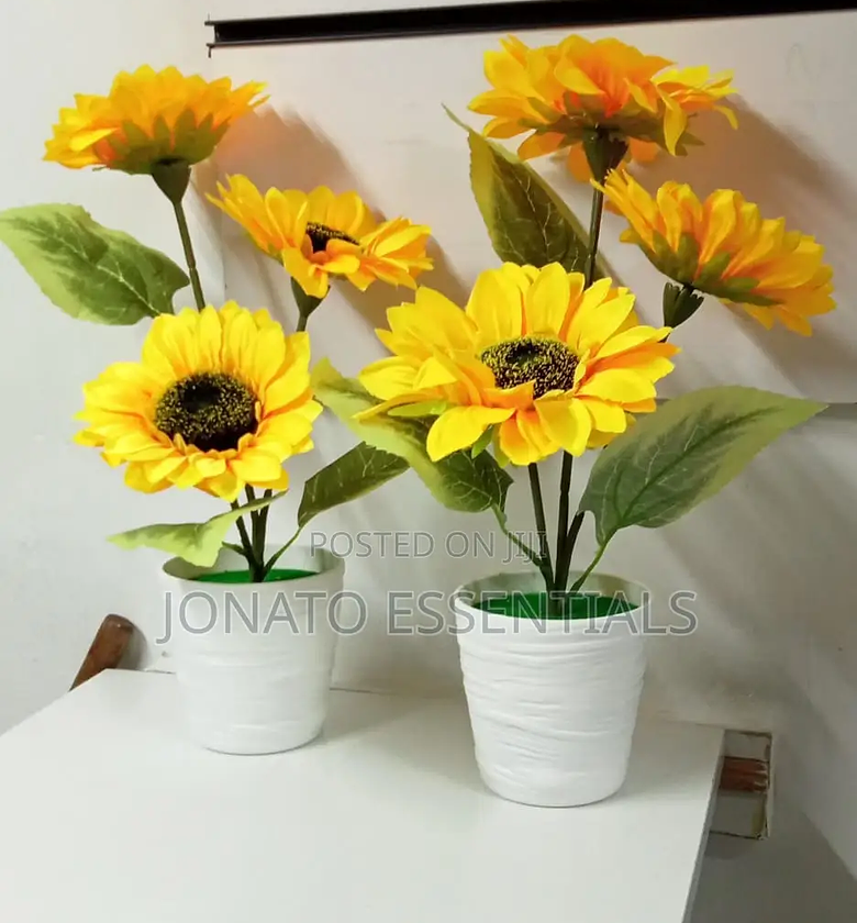 Sunflower Flower With Pot image