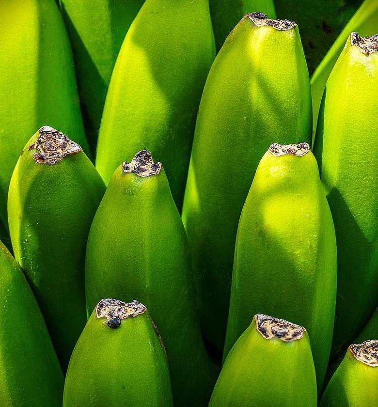 Green Banana(Matoke)-Per dozen image