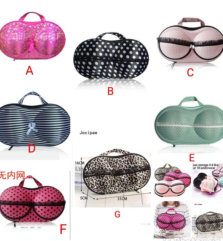 Bra & Underwear Travel Storage Case image