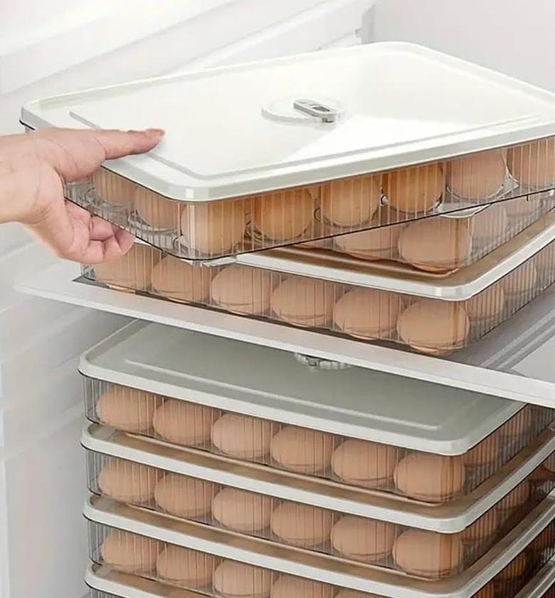  24 grid egg container with cover. image