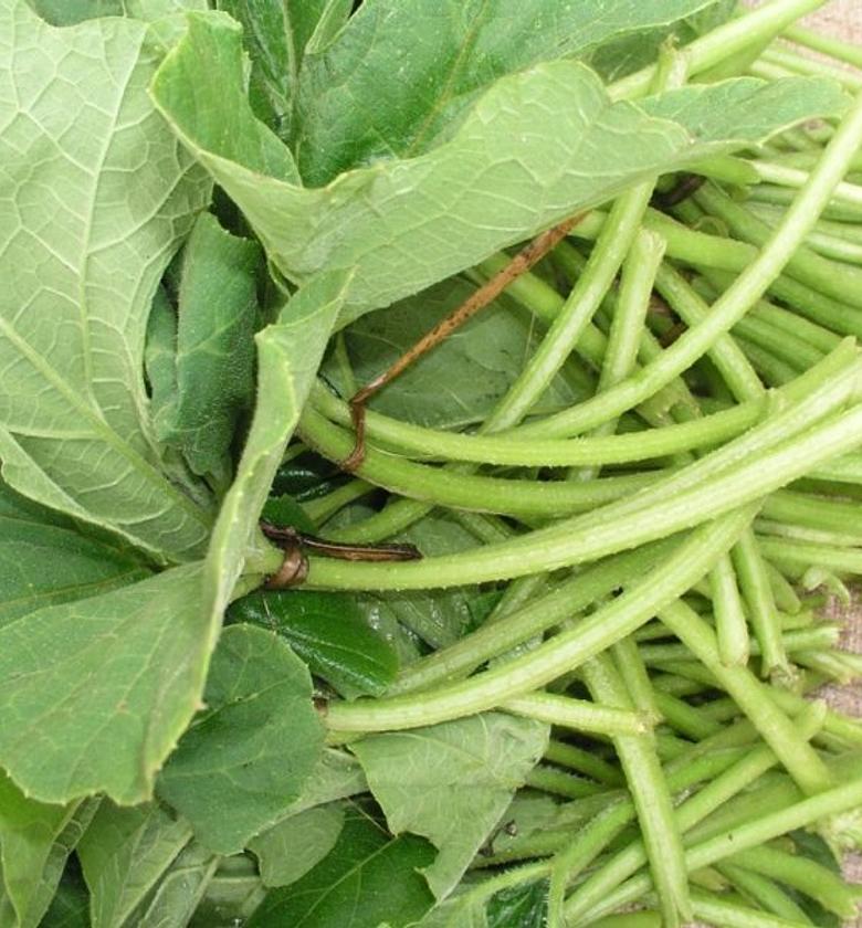 kahurura-a bunch image