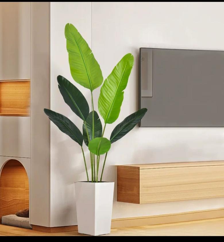 Bird of paradise plant image