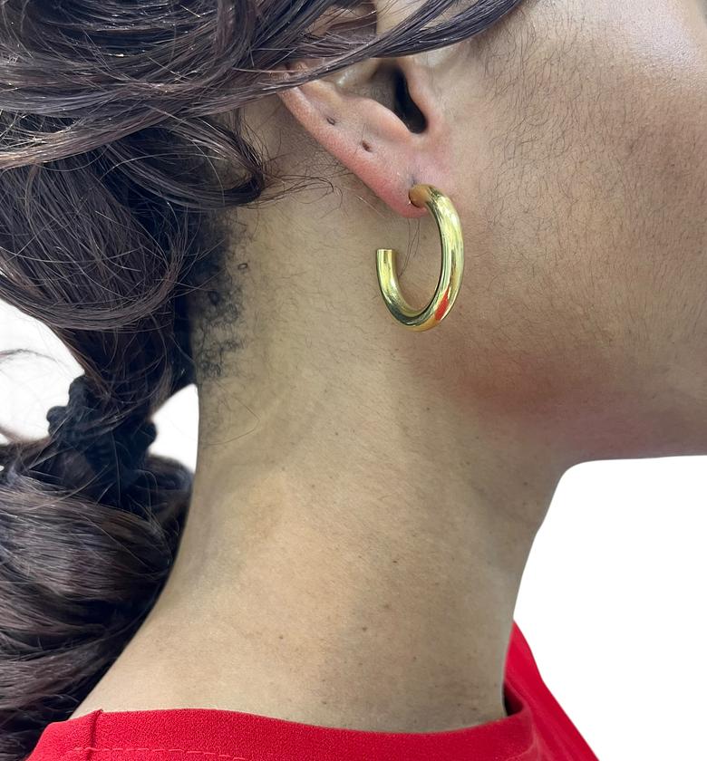 Taji Brass  Earrings  image