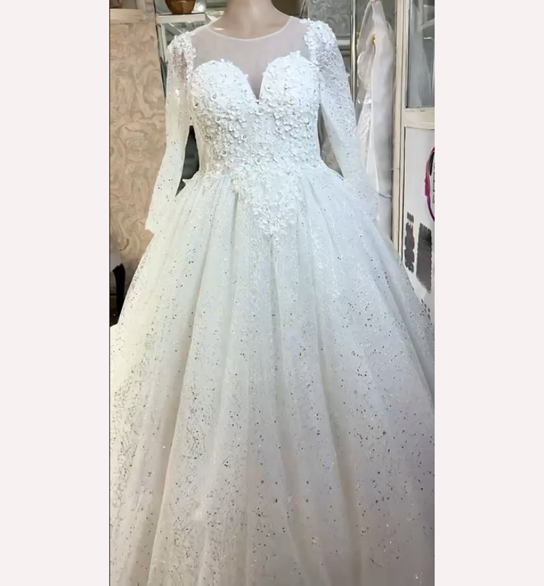 Radiant Starlight Plus-Size Wedding Gown - FOR HIRE image