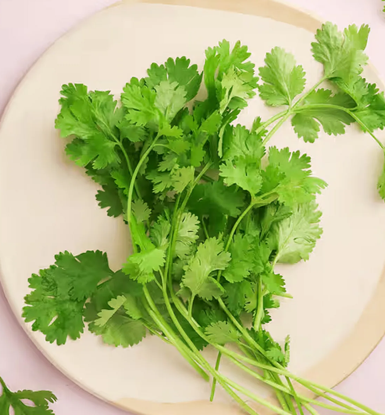 Fresh Coriander (Dhania) – Per Branch image
