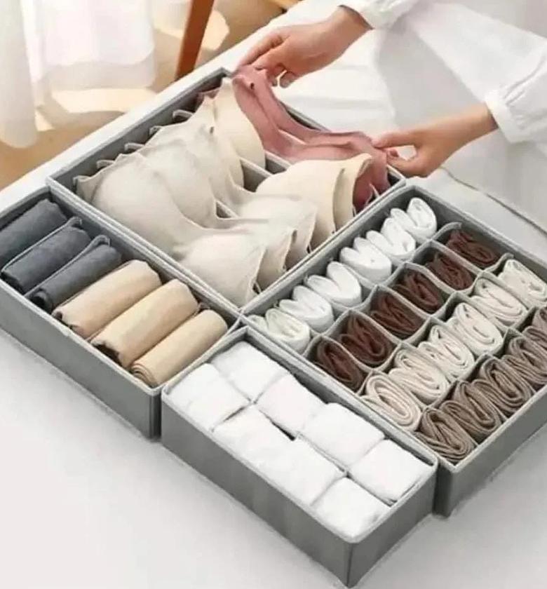4 in 1  foldable  undergarments organizer image
