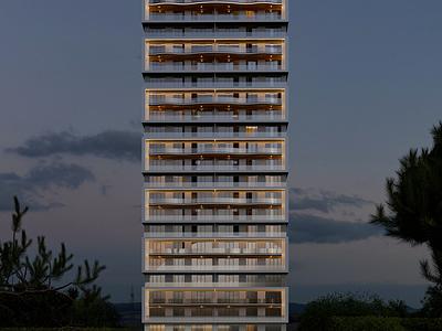 project gallery image