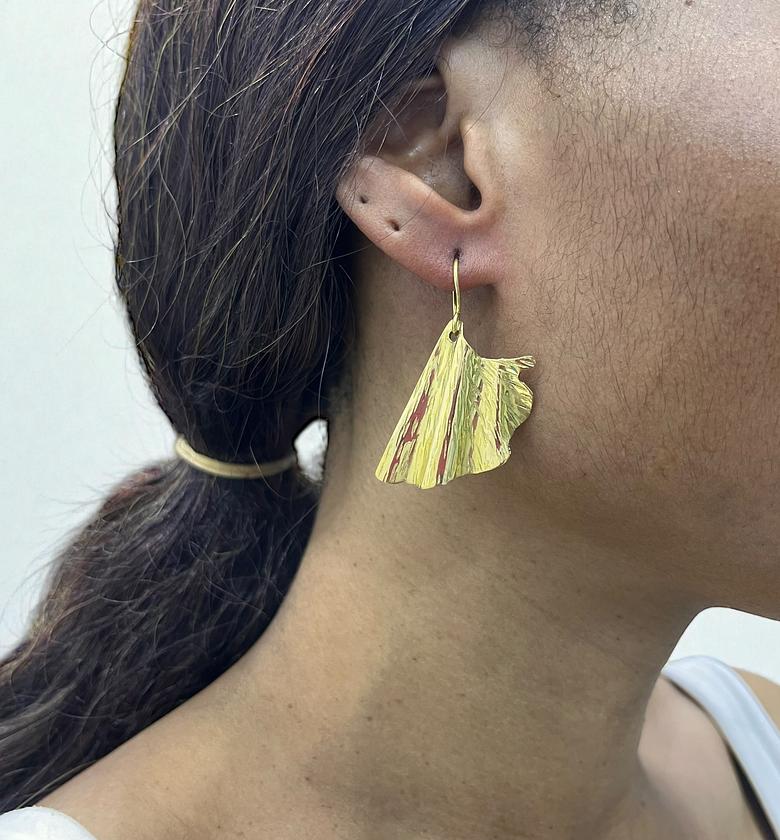 Tawi Brass Earrings  image